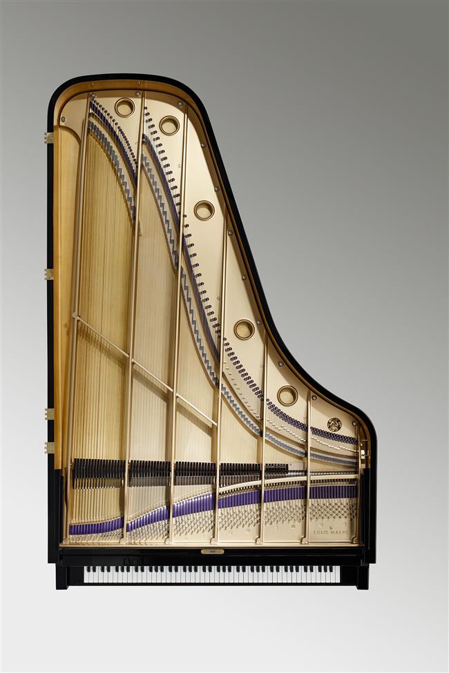 grand piano top view strings